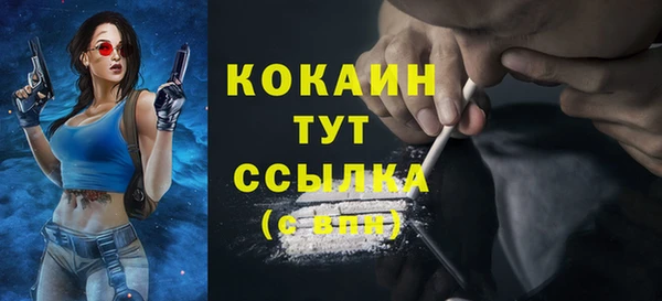 стафф Богородицк